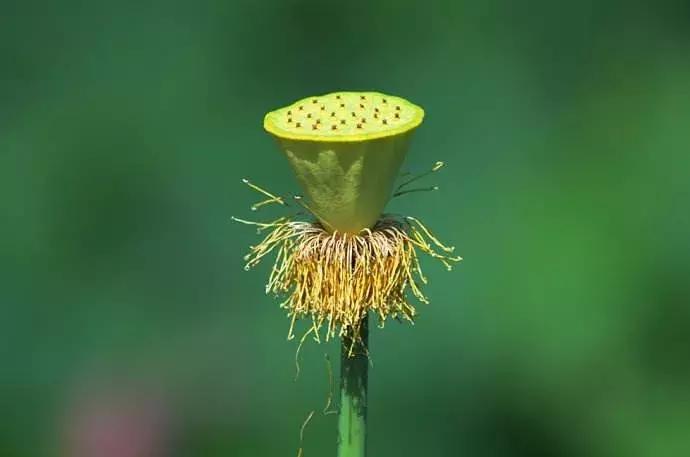 人体皮肤排毒的最好方法,人体夜间的排毒时间顺序