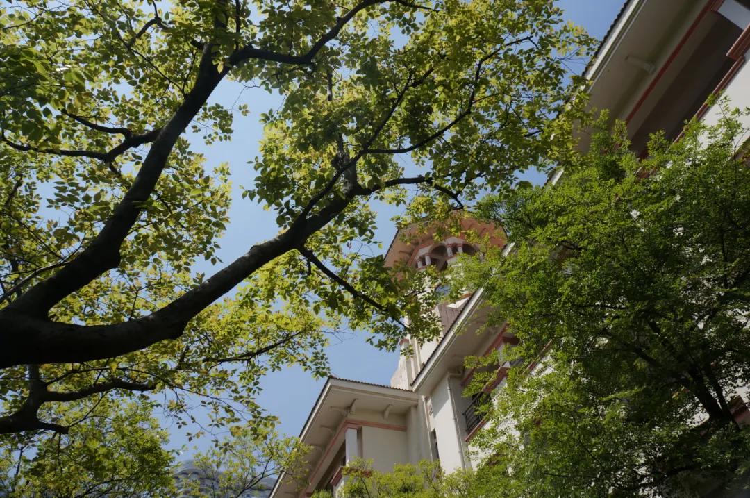 南京河西名校,南京河西中最好的学区