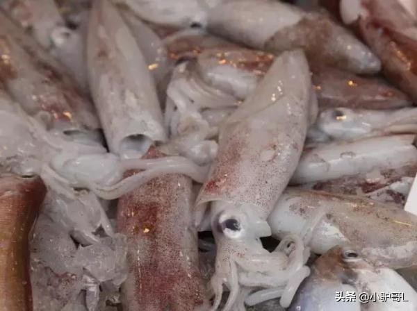 海鲜干货推荐烟台店有哪些,烟台海鲜干货怎么挑