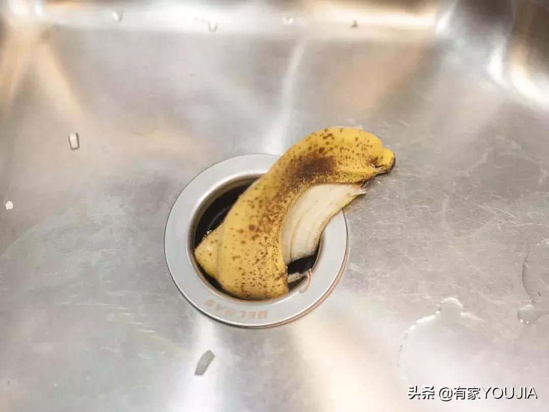 洗碗机和垃圾处理器有必要吗,垃圾处理器需要买品牌吗