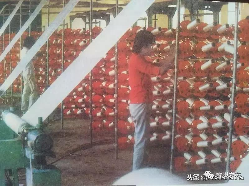 霸州土产公司老照片,霸州老城区图片