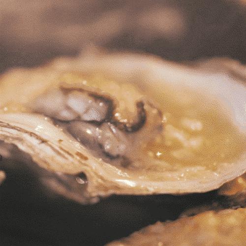 比顺德潮汕还生猛的海鲜之城,好吃到打个飞的也要去一趟