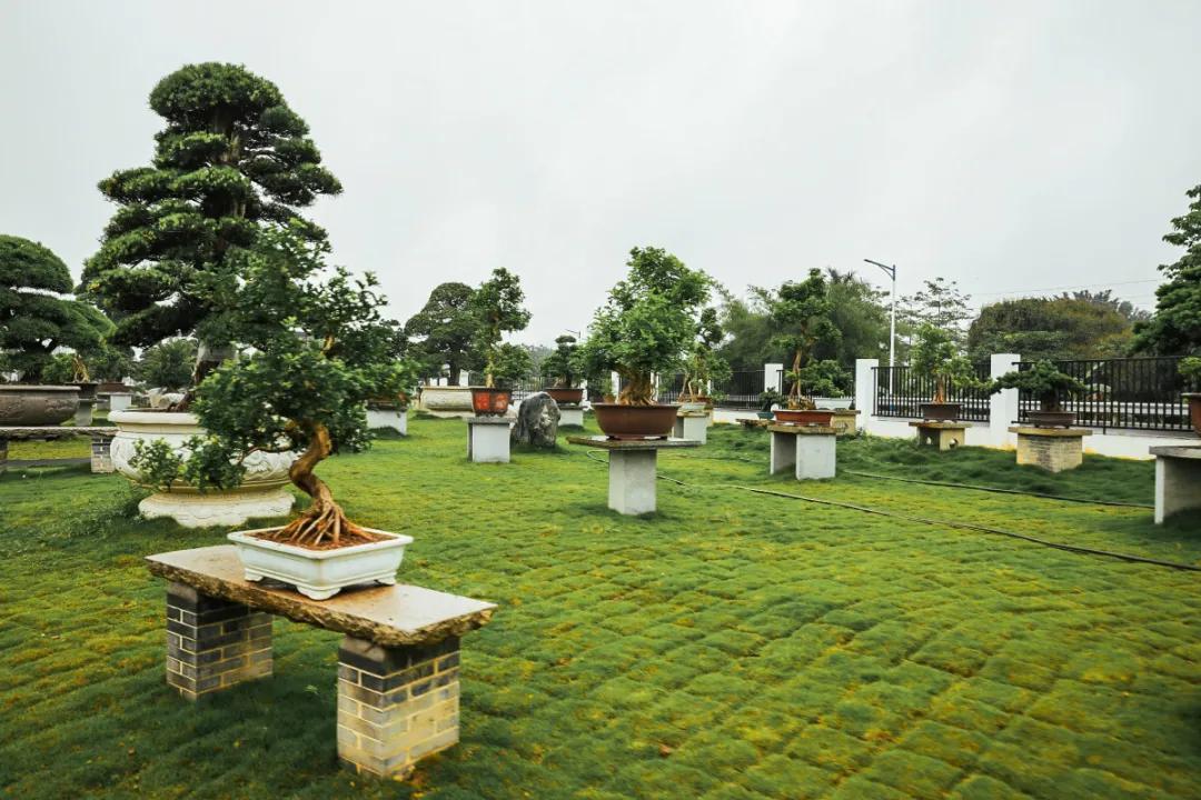 在大山深处幽静绝美的村落,深藏大山中的村落