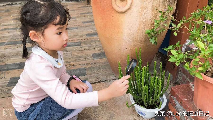 让孩子体验农耕生活的地方,儿童农耕生活体验