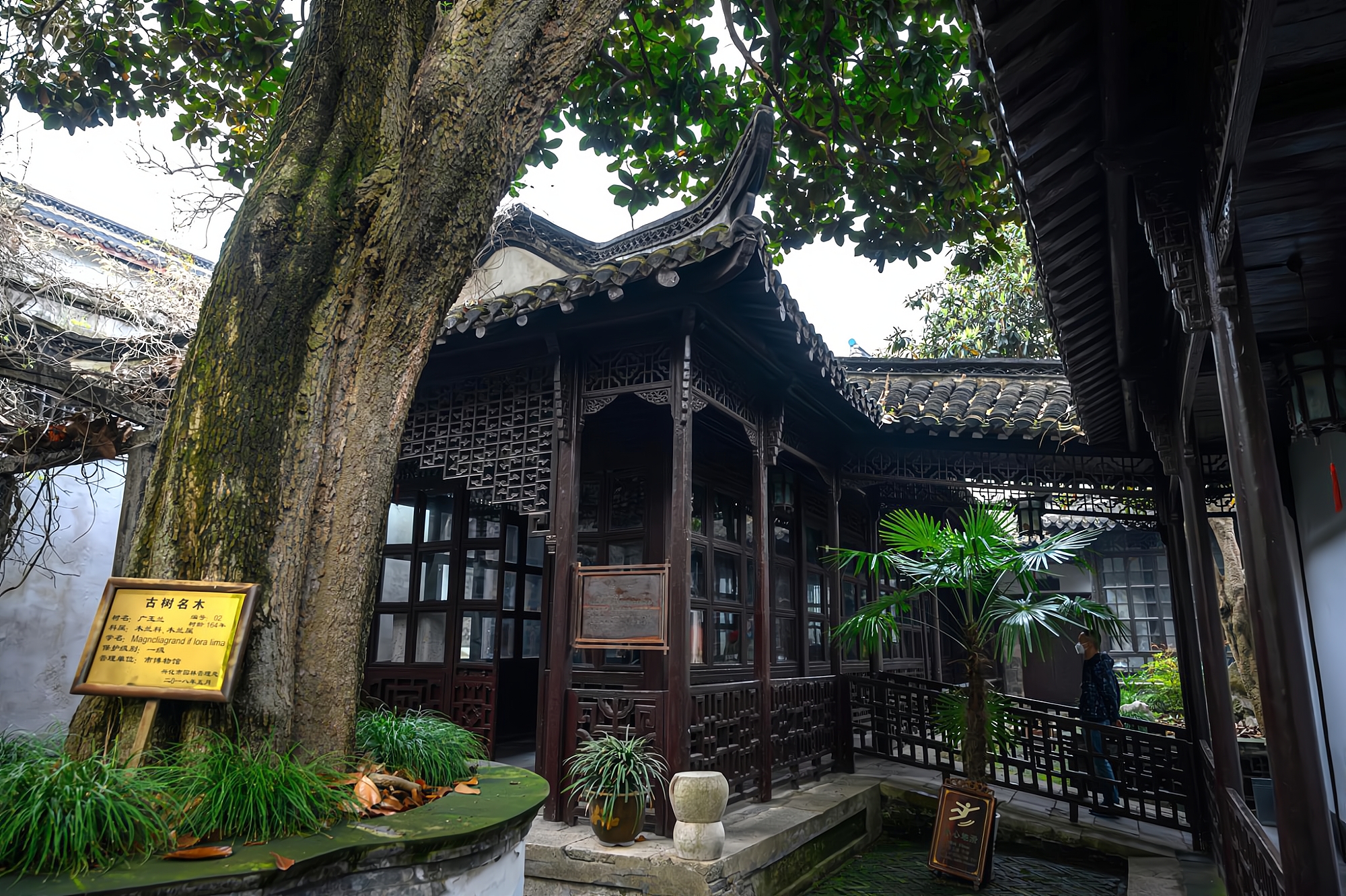 泰州兴化古镇有哪些景点,泰州兴化特色景点图片