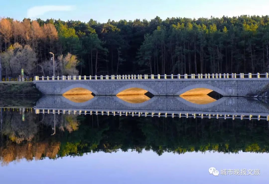 城晚拍拍丨秋色如画