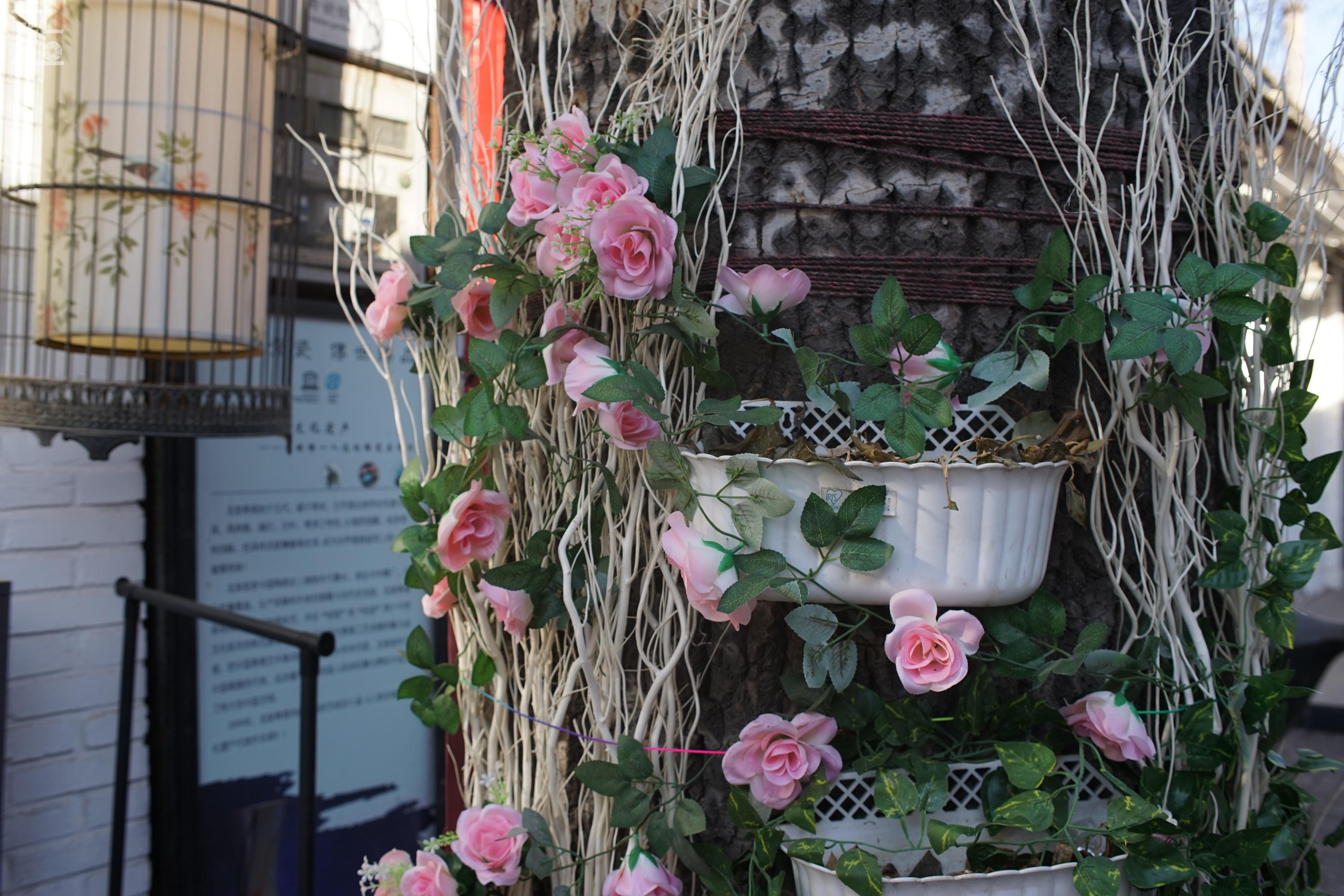 国产中一光学35/2镜头+索尼微单实拍北京798艺术区