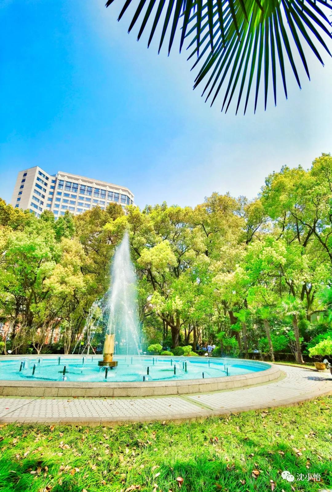 离死亡最近的一次是什么感觉,离死亡很近是什么感受