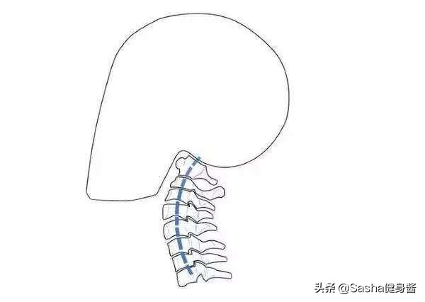 脖颈前伸腰背痛，都是探颈惹的祸，睡前做两个动作，改善探颈问题