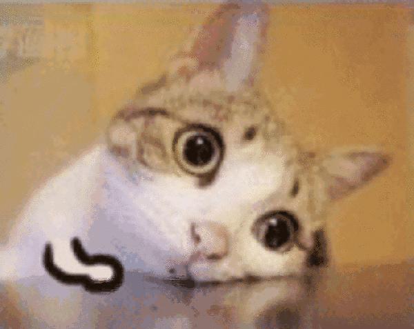 把衣柜搬进地铁站!家居圈地铁营销还能怎么玩?