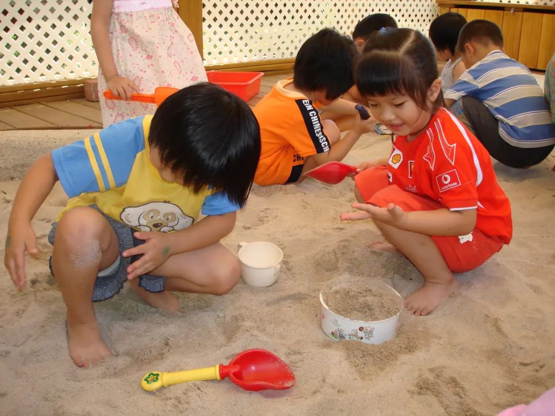 鏁欑涔﹀紡绀句氦閲戝彞,鏁欑涔﹀紡绀句氦閲戝彞瀛╁瓙