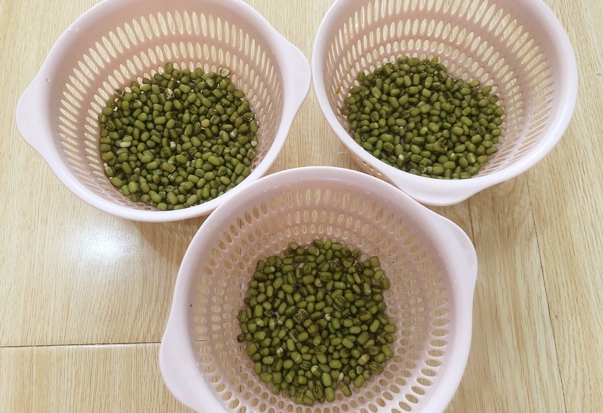 零添加豆芽种植方法,想吃豆芽在家发