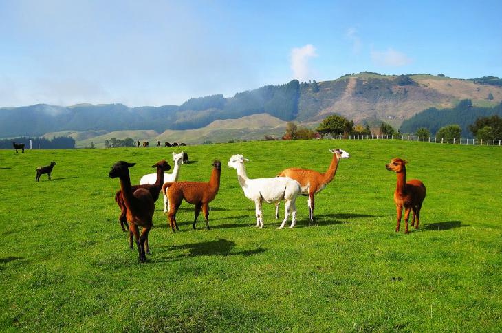 好用大牌护肤品雅诗兰黛,大牌护肤品测评雅诗兰黛