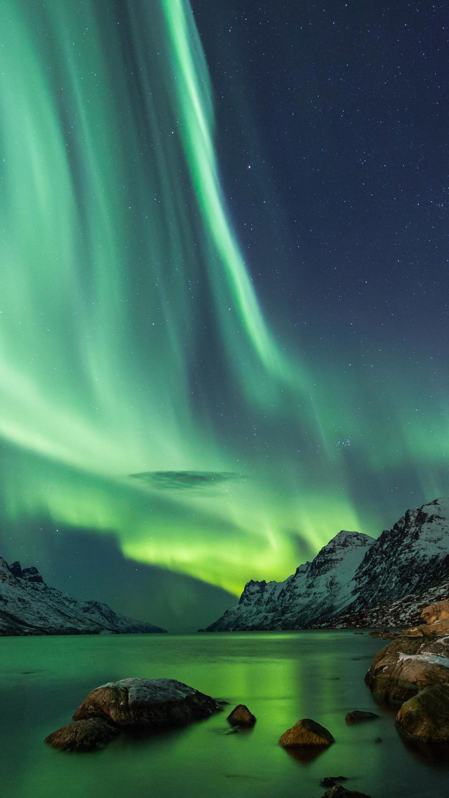 saxenda减肥针真假对比,saxenda减肥针怎么样