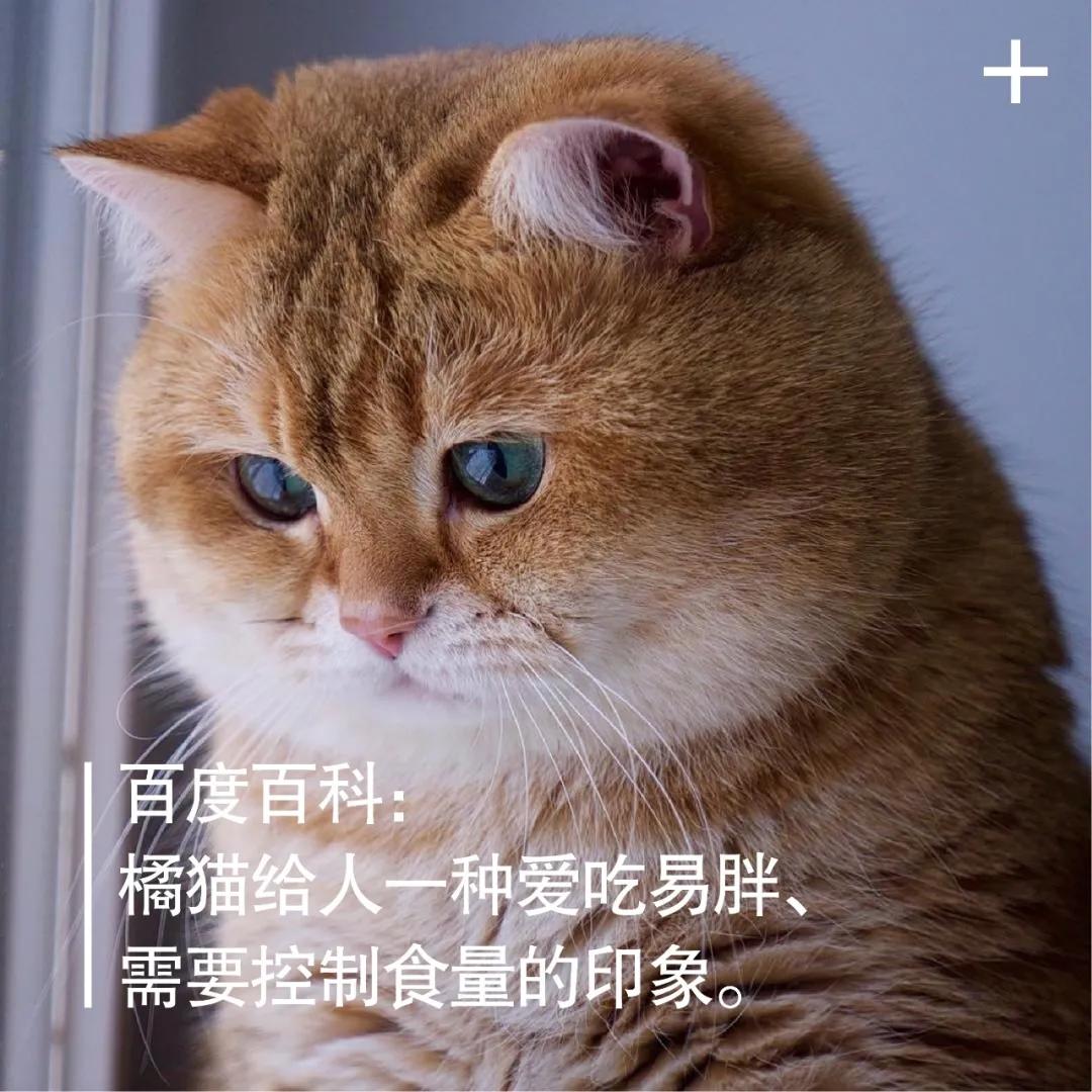 青少年减肥训练营封闭式江苏,少儿肥胖训练营