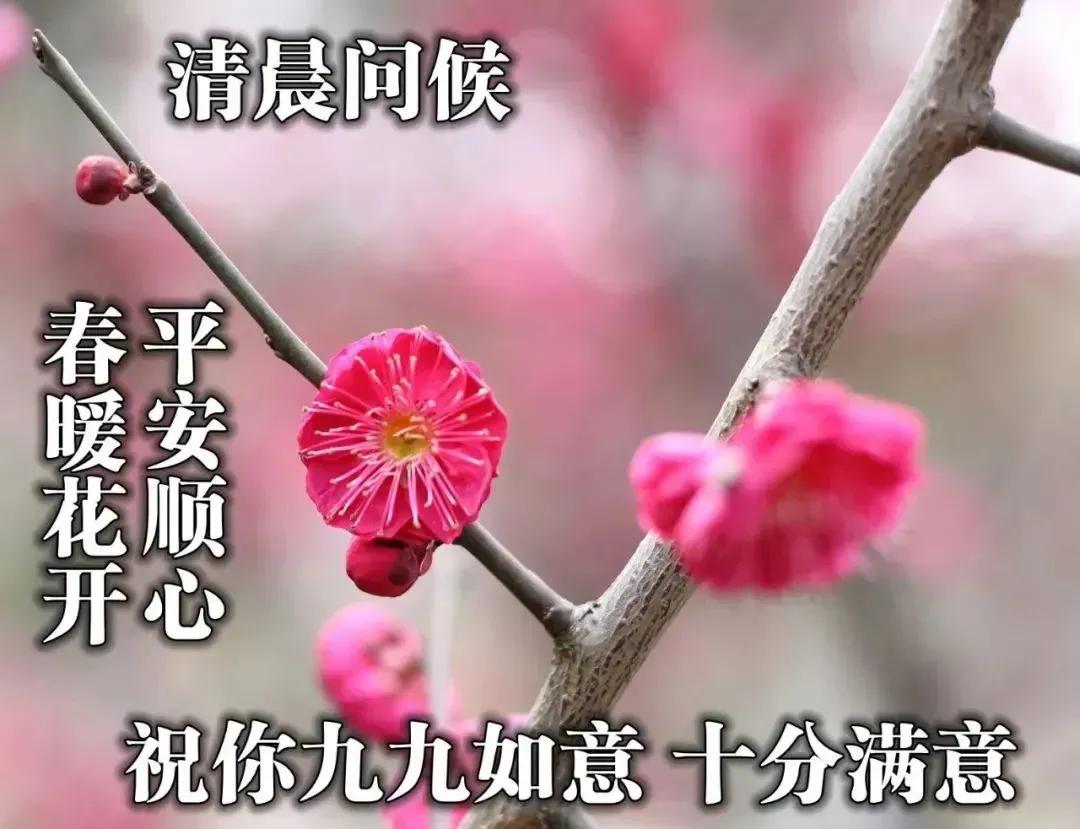 活着就是胜利挣钱只是戏,挣钱只是游戏活着才是胜利