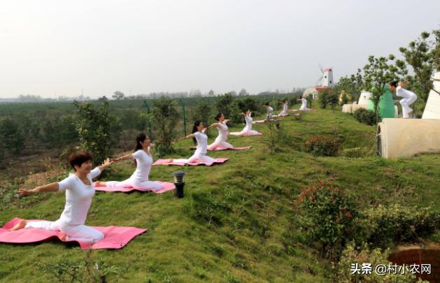 农村创业赚钱小项目生意,农村创业项目发家致富