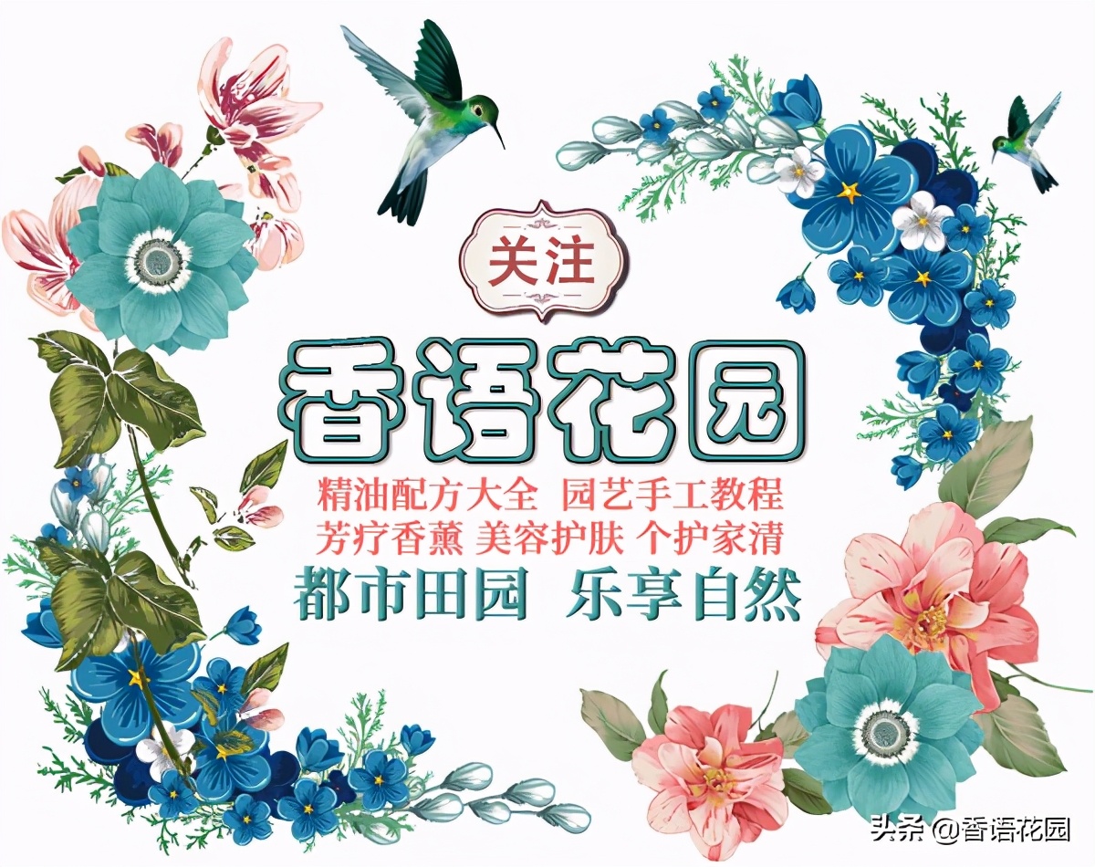 芳香疗法精油书籍,精油芳香疗愈小课堂