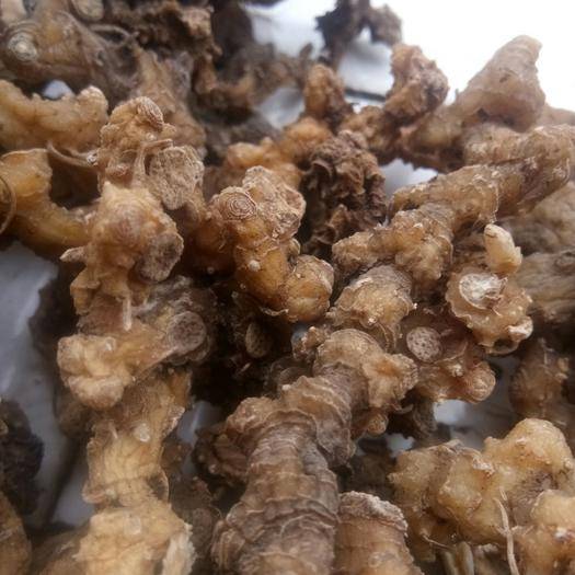 黄精列于草部之首，仙家以为芝草之类，以其得坤土之精粹