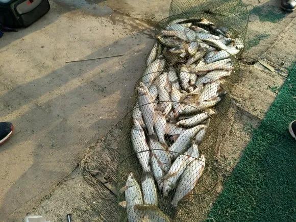 路亚入门路亚如何才能钓到鱼,路亚在哪种地方比较适合钓到鱼