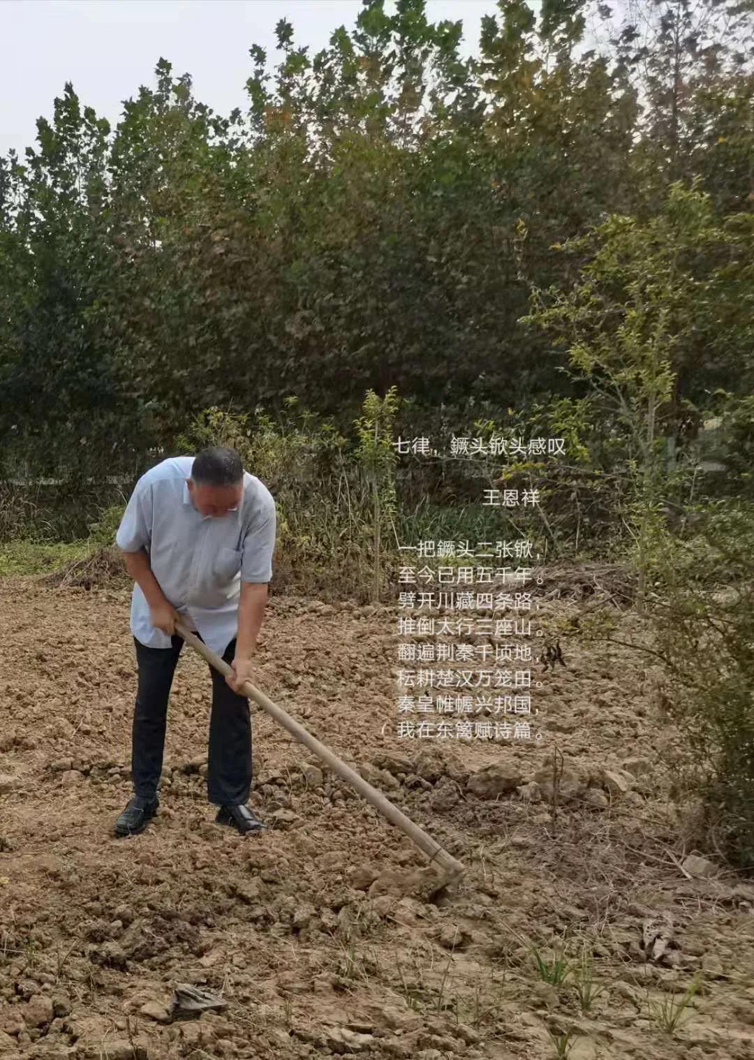 老济宁谚语,济宁老方言视频