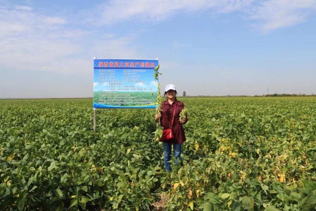 华山论豆，“小产业”迈出“大步伐”