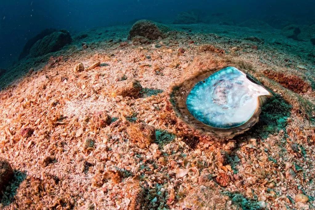 距海南20km有片处女地，比台湾风情比三亚便宜，路过都错过了