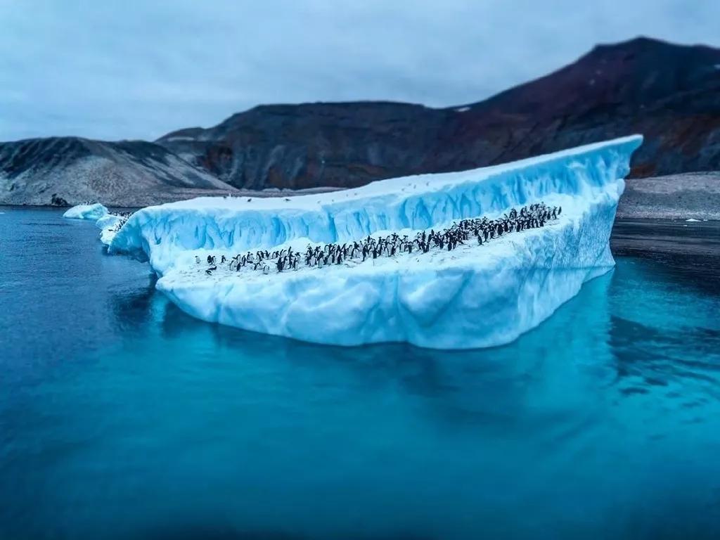 地球妈妈生病了故事,地球变暖冰川融化企鹅