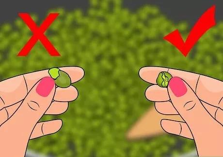 怎么治疗鱼的失鳔病,鱼失鳔症怎么治疗