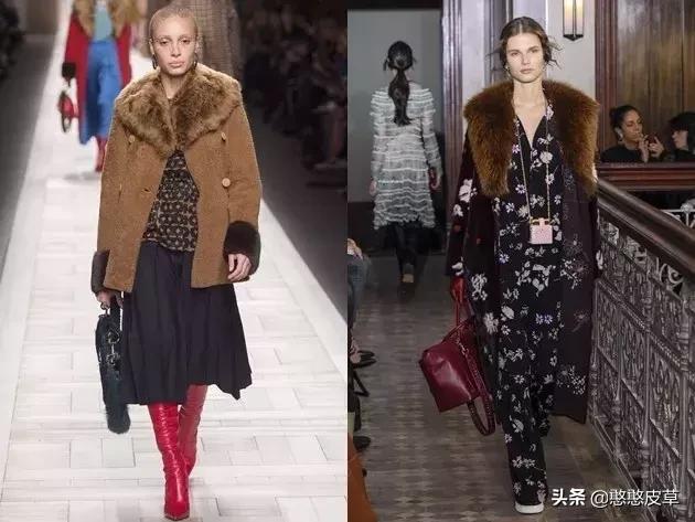 憨憨皮草-----真假皮草之争，你身陷其中吗？