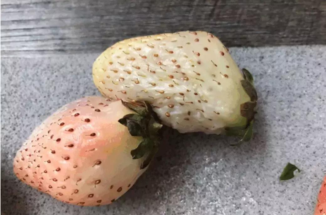 在拼多多上买水果方法,拼多多买水果全额退款