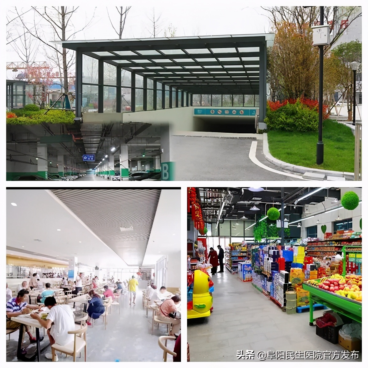 阜阳民生医院体检报告查询,阜阳民生医院24小时电话