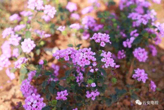 云雾山旅游区景点,美丽云雾山旅游攻略