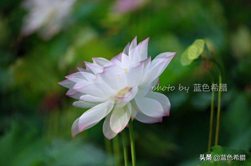 佳能5d3能拍多少数量照片,佳能5d3有多重曝光拍摄技巧