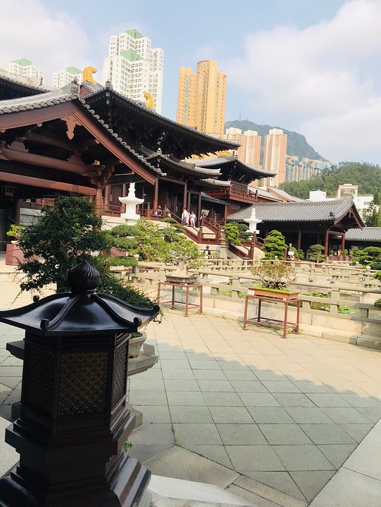 香港志莲净苑地图,香港志莲净苑好玩吗