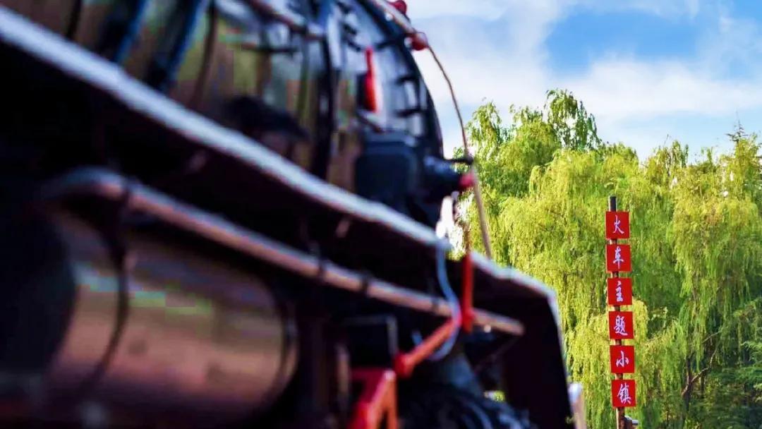 游玩赏荷花景点推荐,国家4a级景区荷花花海介绍