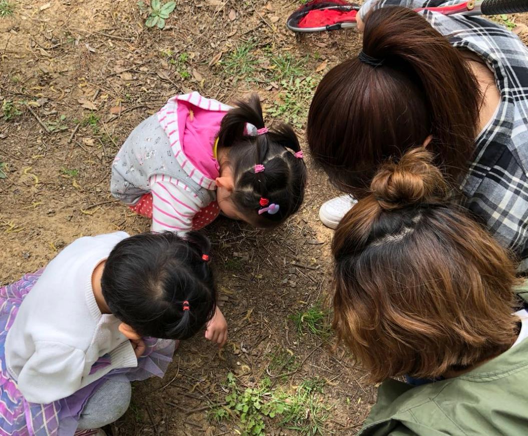 儿童卡通片少儿益智游戏推荐,儿童卡通片小萌娃展开游戏大冒险