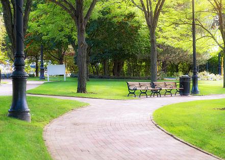 自然资源局整治典型案例,自然资源部违法案件查处工作