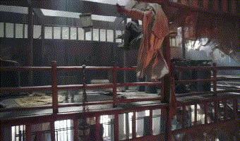 时代在进步还是倒退,正所谓时代在进步下一句是什么