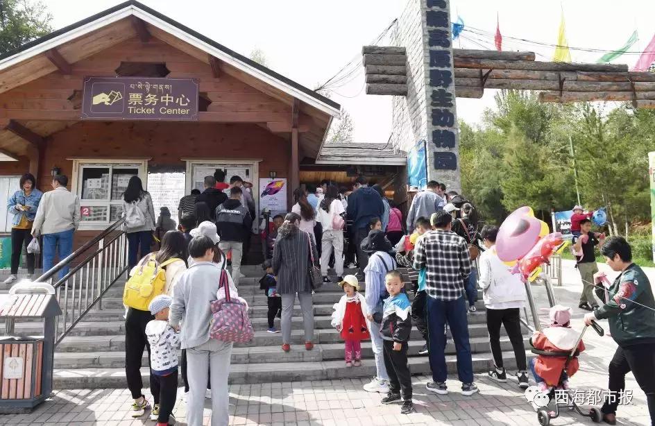 这个小长假，西宁人又玩出新花样