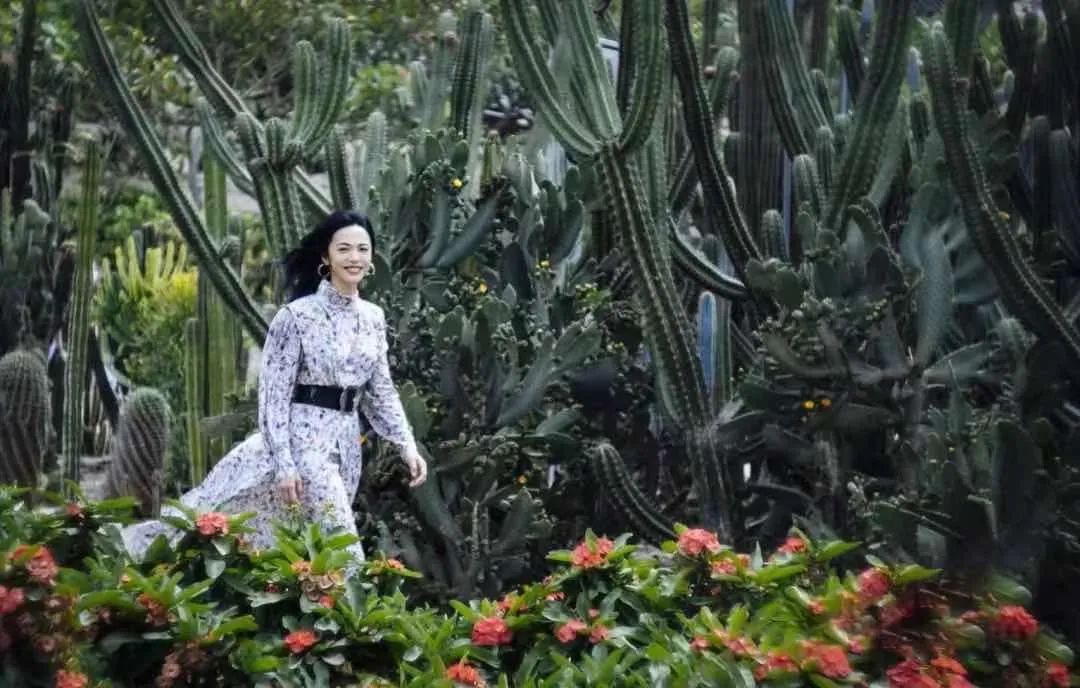 你好，我叫厦门，这是我的简历