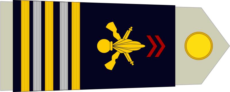 法国将军军衔等级,法国上校是什么军衔