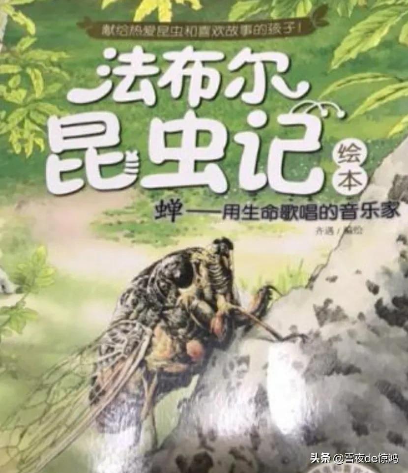 为什么法布尔说蜘蛛是昆虫,蜘蛛为什么会被法布尔写进昆虫记