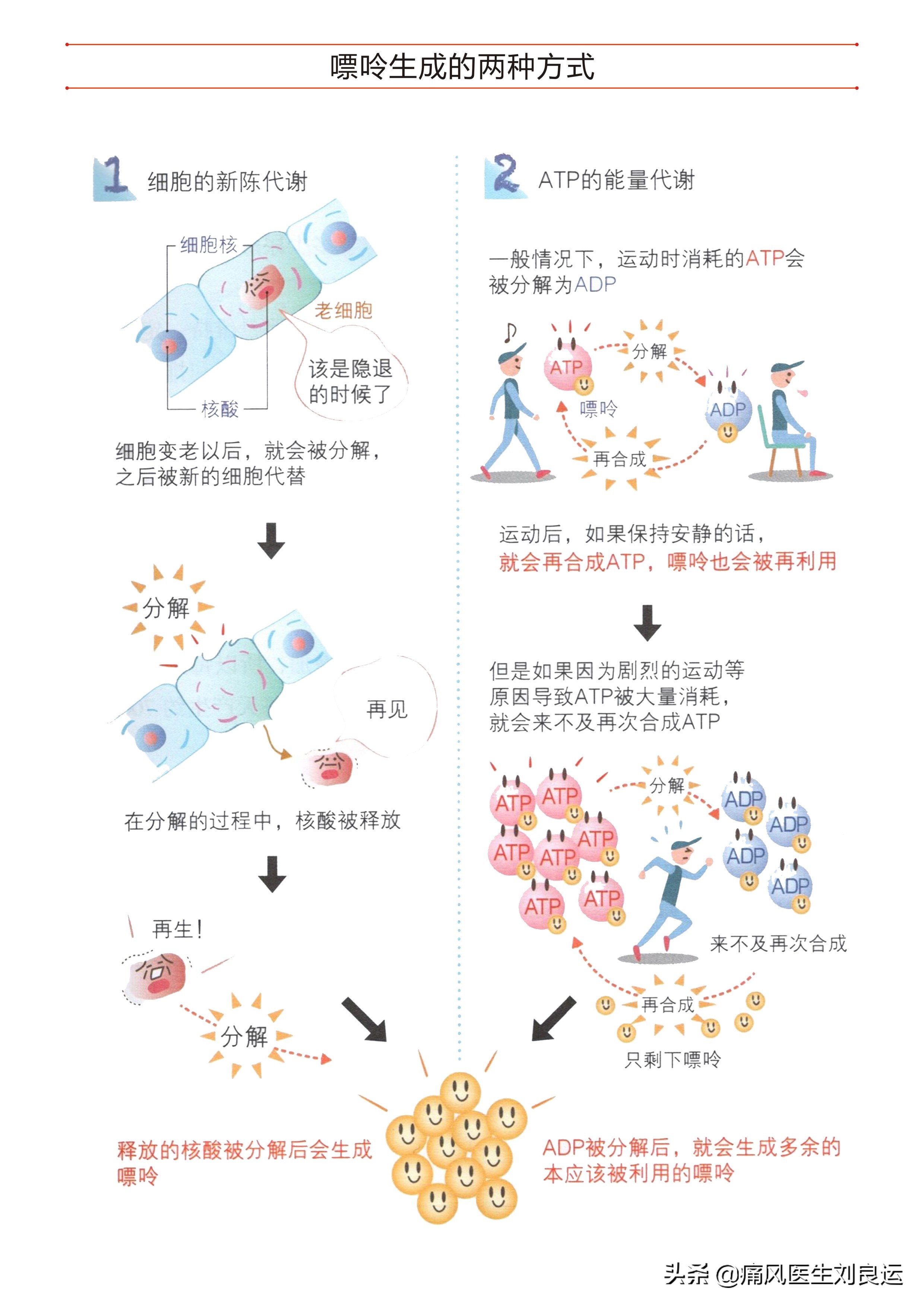 快速降尿酸有“特效药”吗？“根治”痛风的真相你清楚吗？