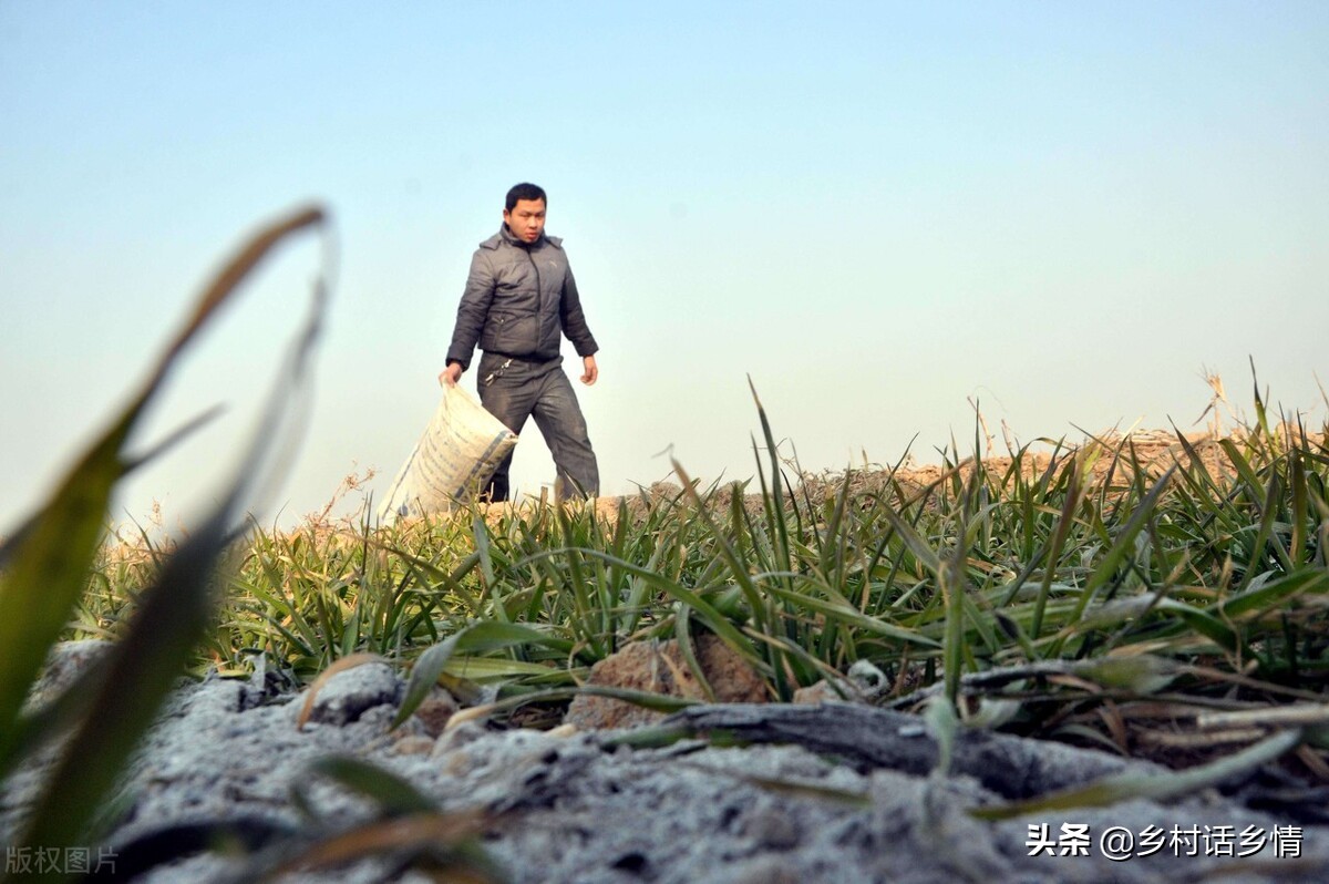 蔬菜长虫最有效小妙招,怎么治蔬菜虫子最快最有效