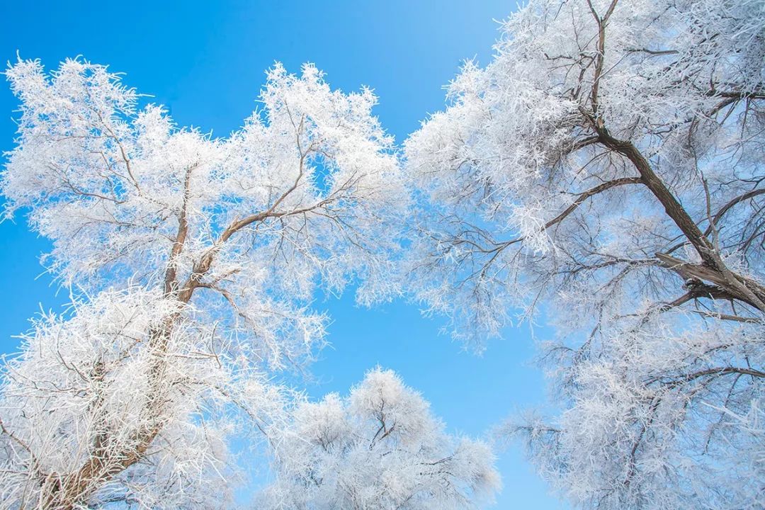 太原冬天去哪儿玩,天津冬天去哪儿玩