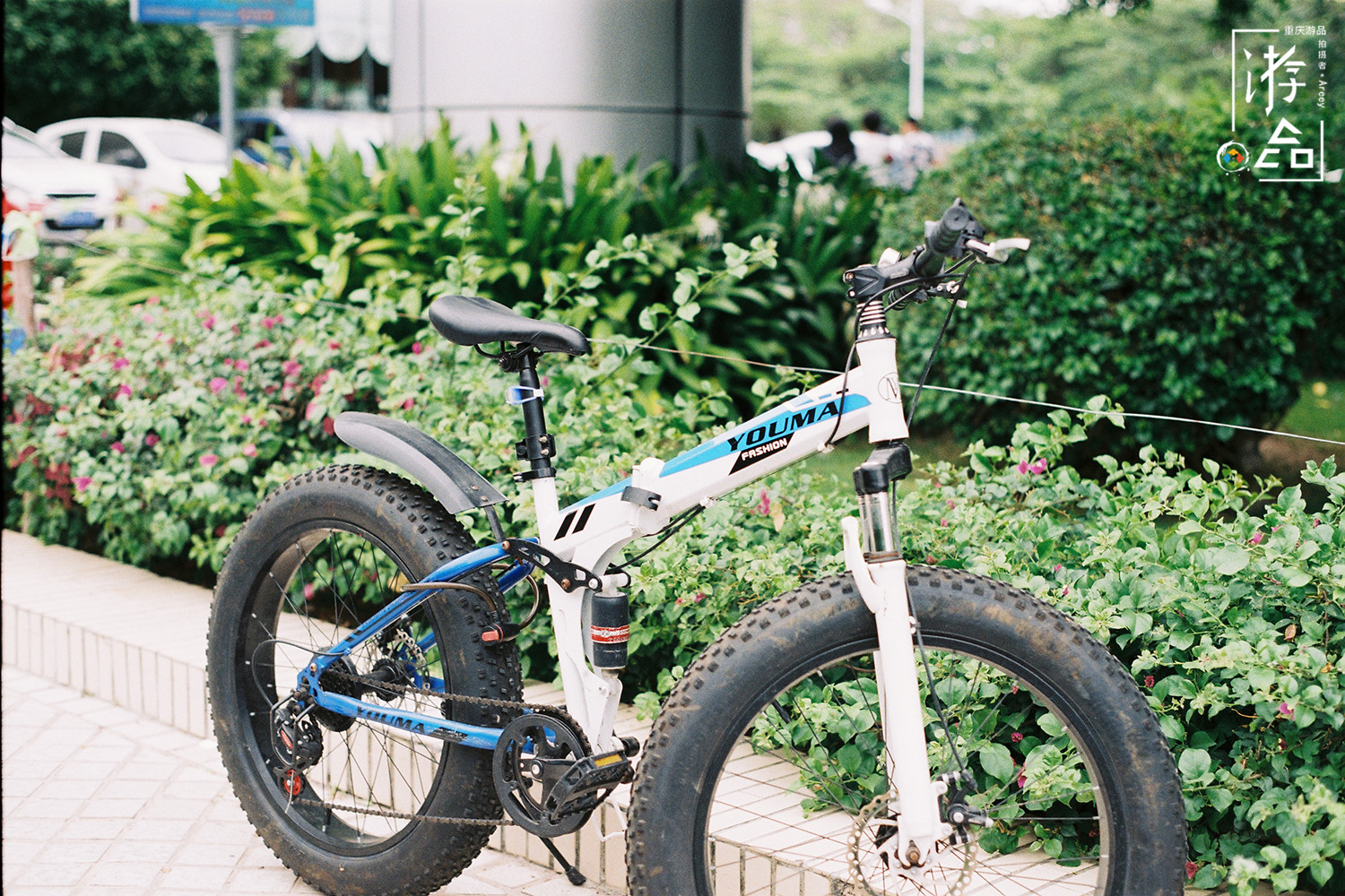 重庆人把自行车当作玩具，在滨江路和奥体中心，体验过租来的快乐