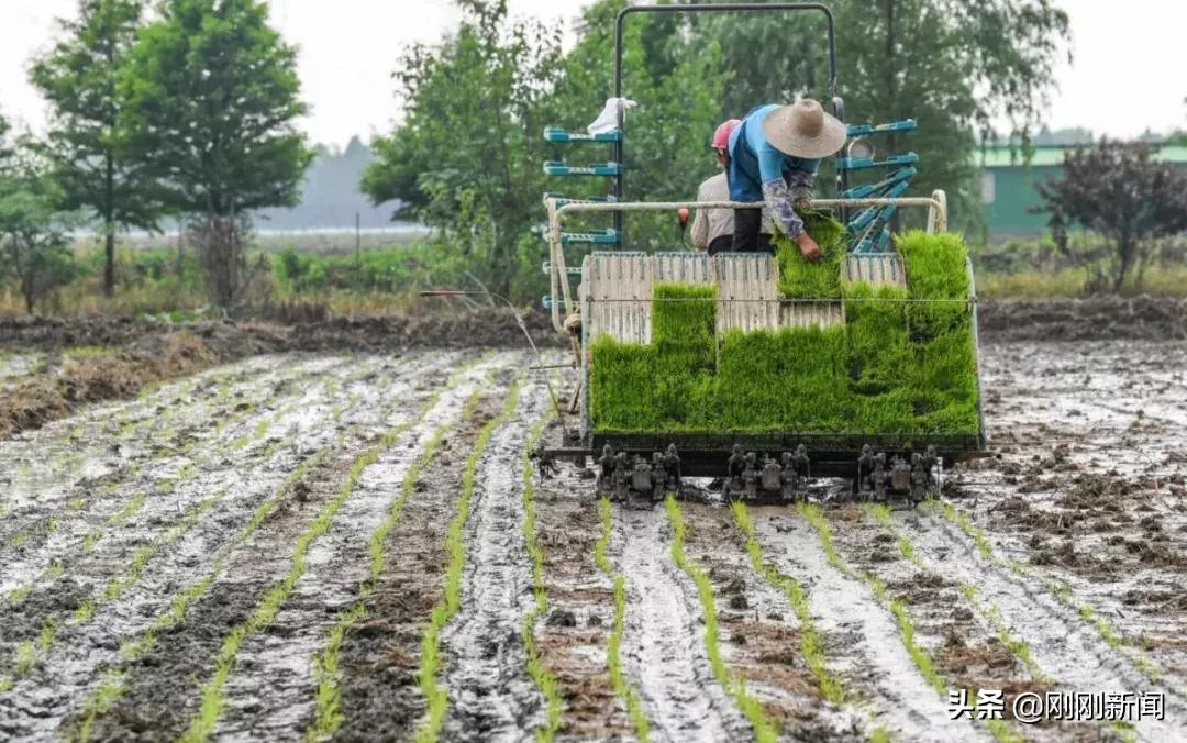 吴江未来五年的发展规划,吴江近十年的变化对比图