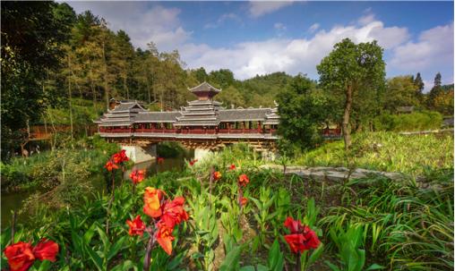 抖音上最火的花果园视频,花果园抖音最火版本