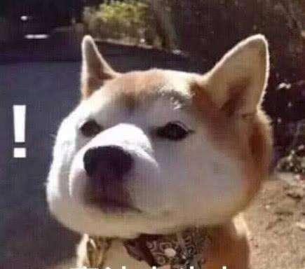 兰蔻和雅诗兰黛护肤品要选择哪个,兰蔻粉水雅诗兰黛小棕瓶倩碧黄油